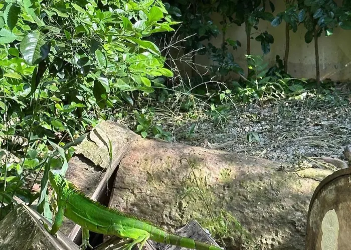 Bella Guanacaste